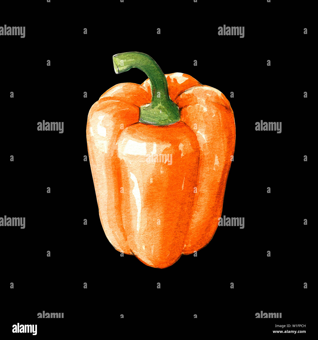 orange bell pepper watercolor illustration on black background Stock Photo