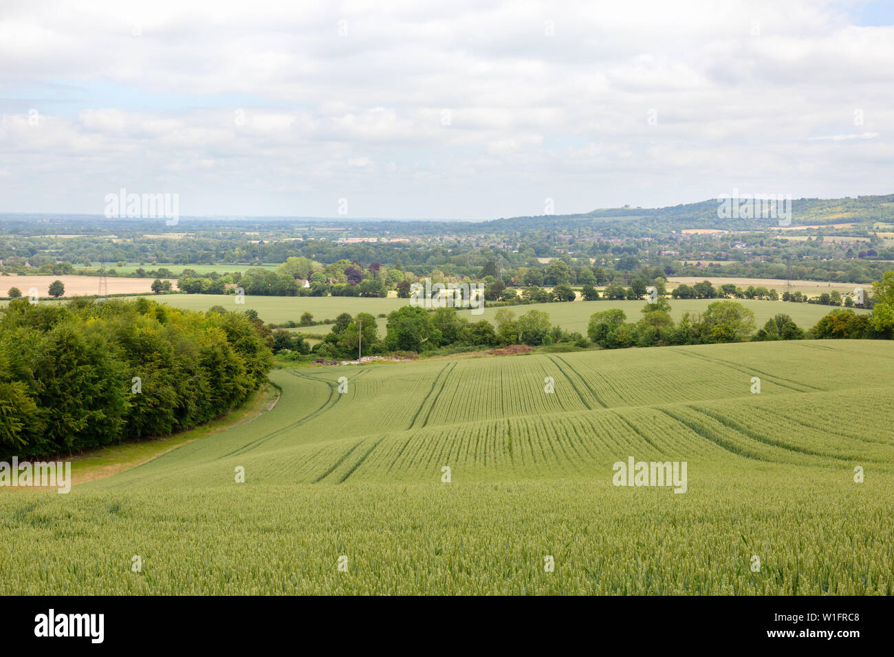 Aylesbury Vale landscape a view out over Aylesbury Vale from Bledlow