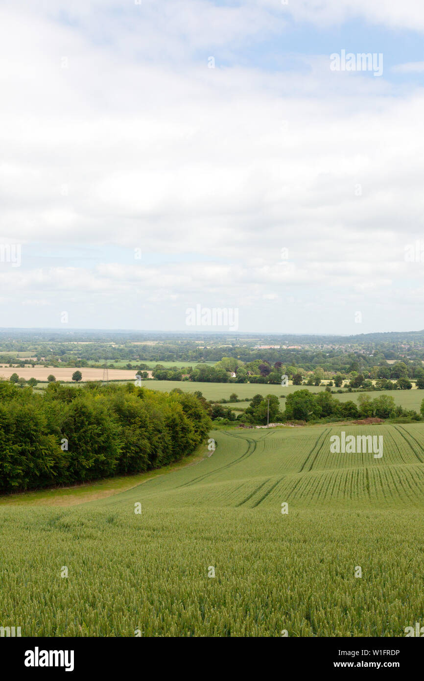 Aylesbury Vale landscape a view out over Aylesbury Vale from Bledlow