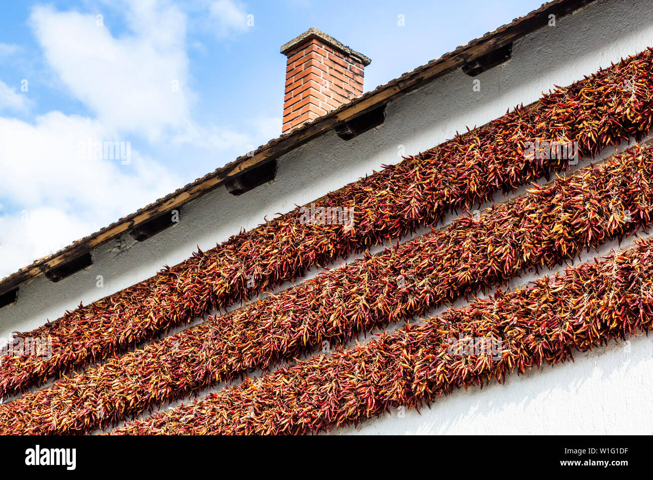 Red dried peppers on the side of a house, Hungary Stock Photo