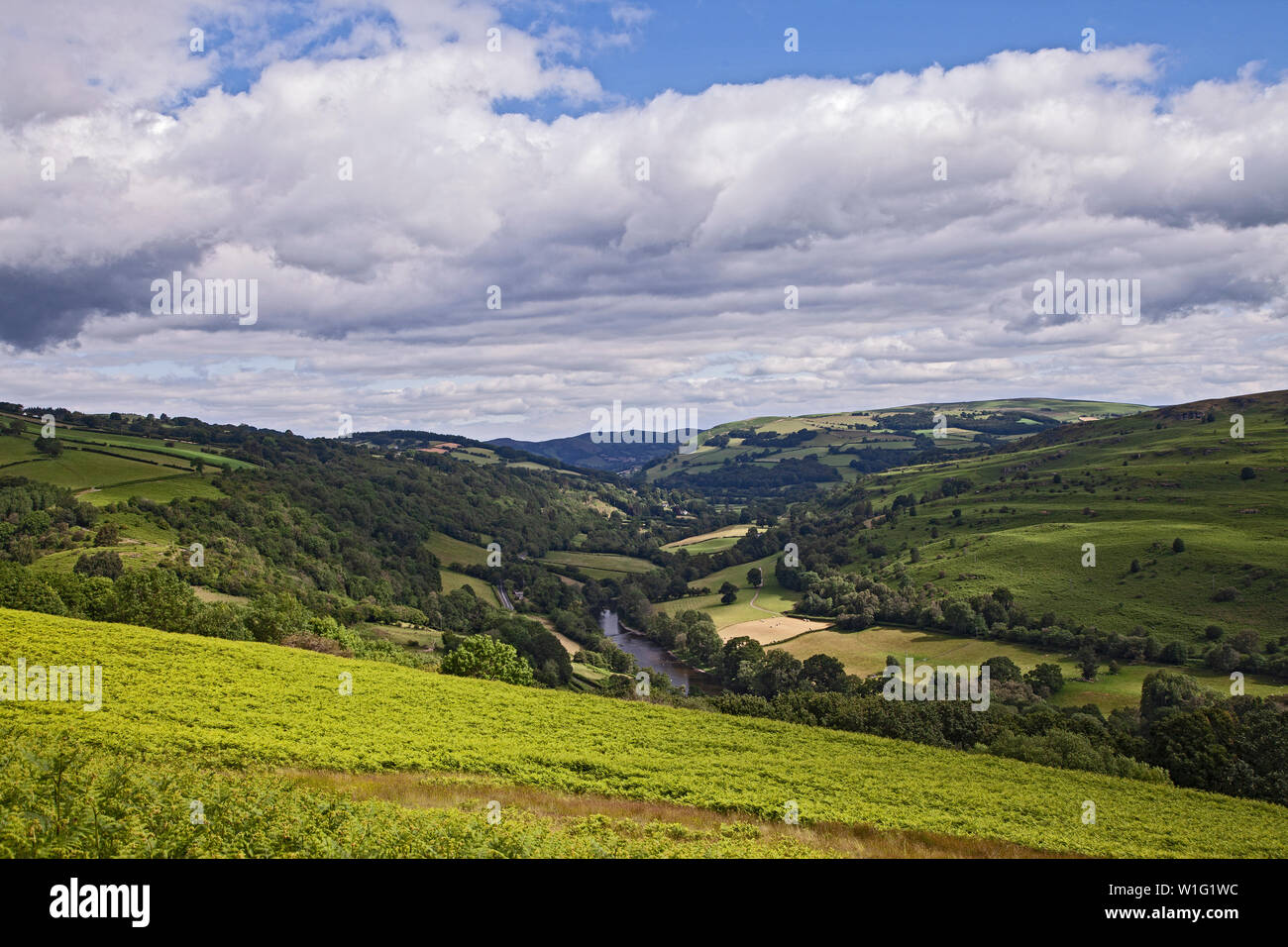 Wye Valley Nr Erwood Powys Stock Photo Alamy