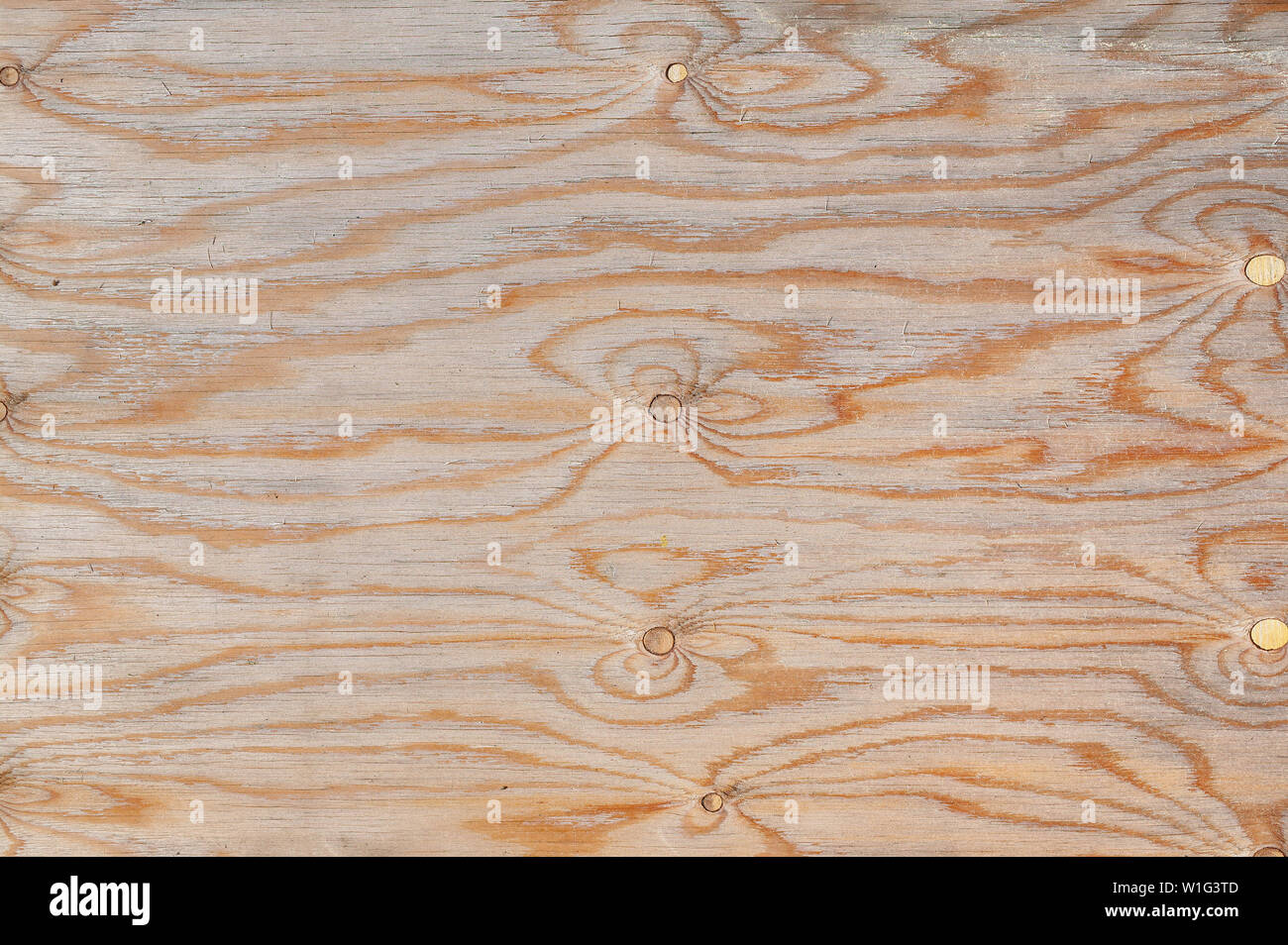 The texture of natural wood. Background of pine plywood Stock Photo