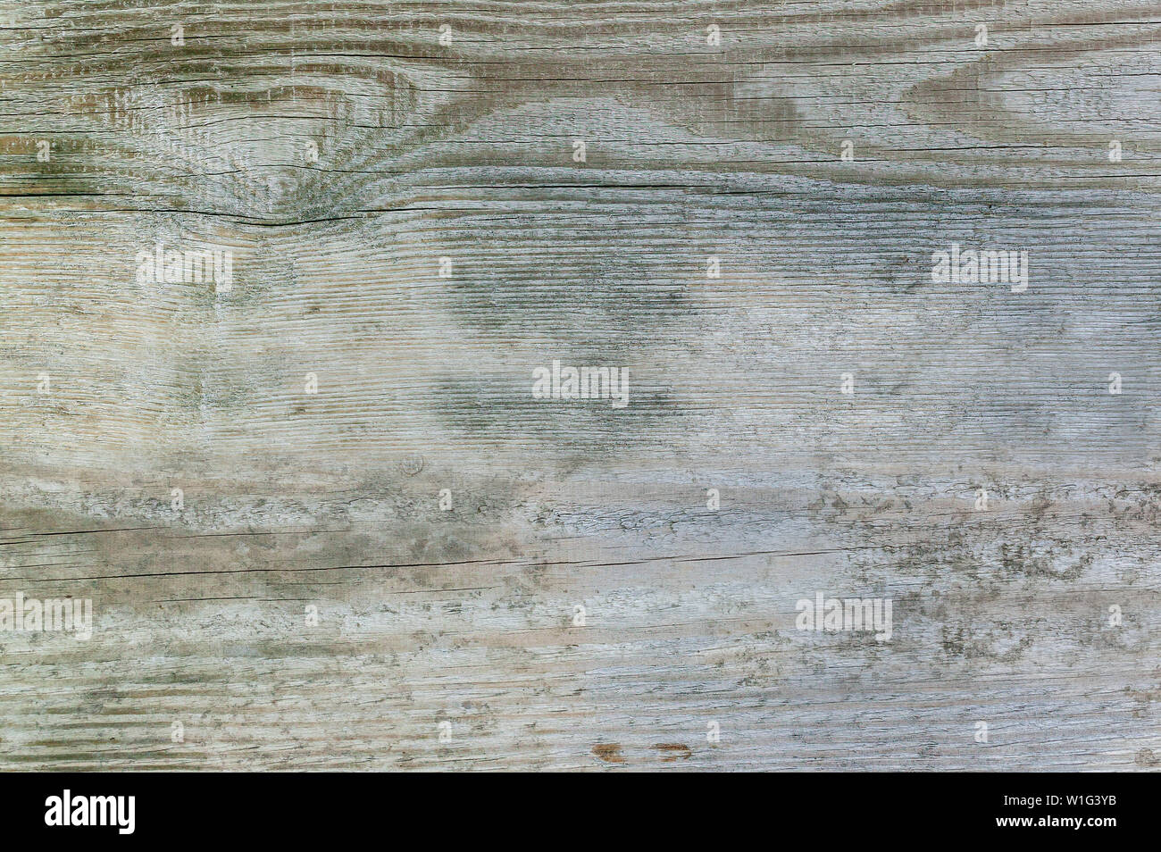 The texture of natural wood. Background of aged pine boards Stock Photo