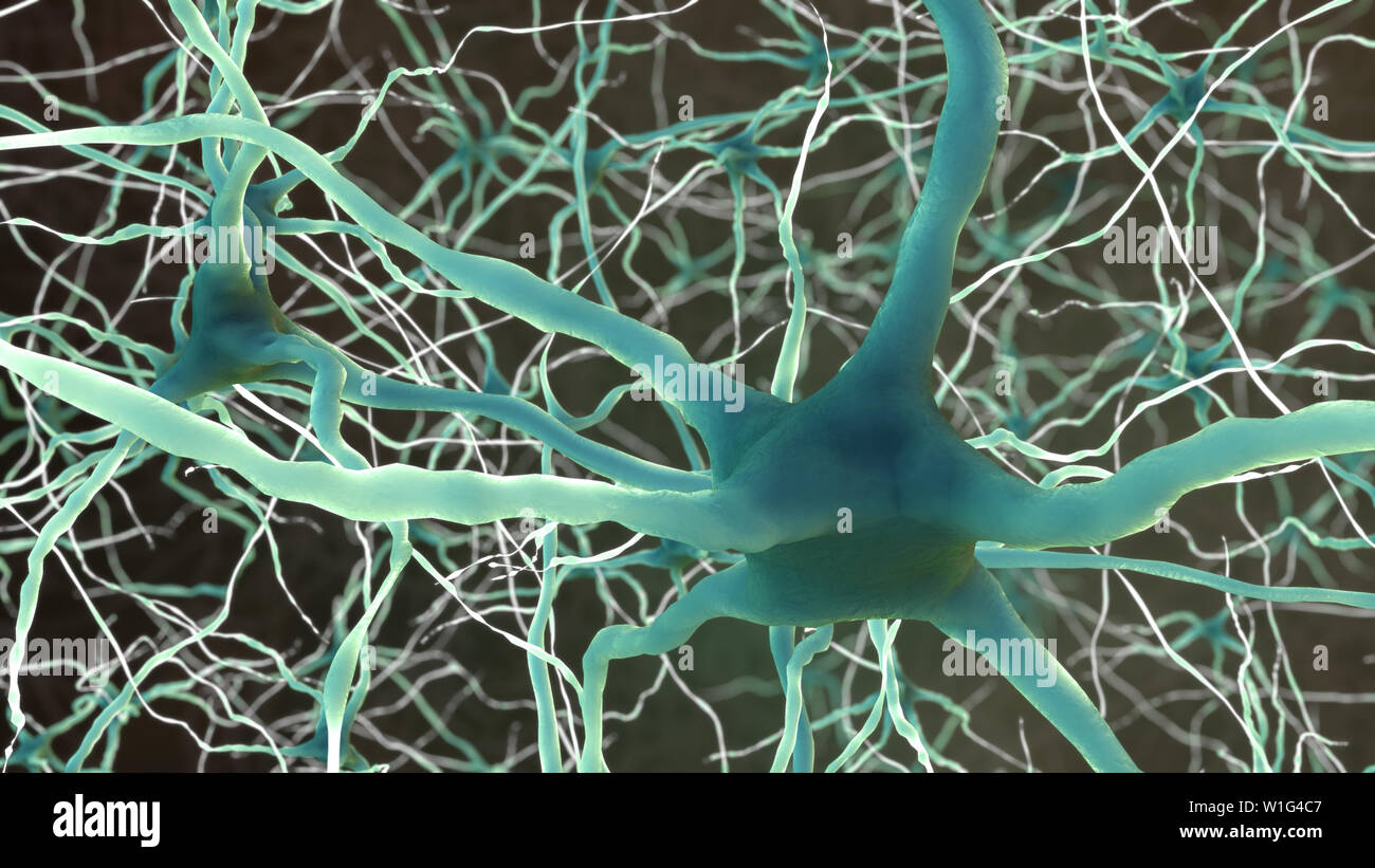 Neurons Brain Cell Neural Network Stock Photo - Alamy