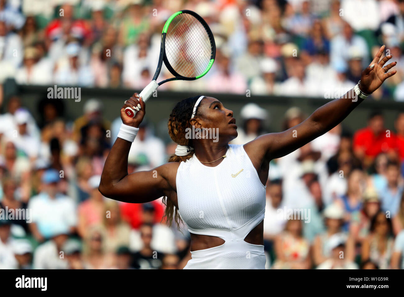 London, UK. 02nd July, 2019. Wimbledon, 2 July 2019 - Serena Williams in action during her first round victory over Giulia Gato-Monticone of Italy. Credit: Adam Stoltman/Alamy Live News Stock Photo