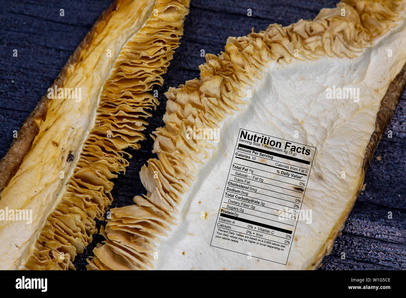 Dried mixed wild mushrooms macro close up texture and details with