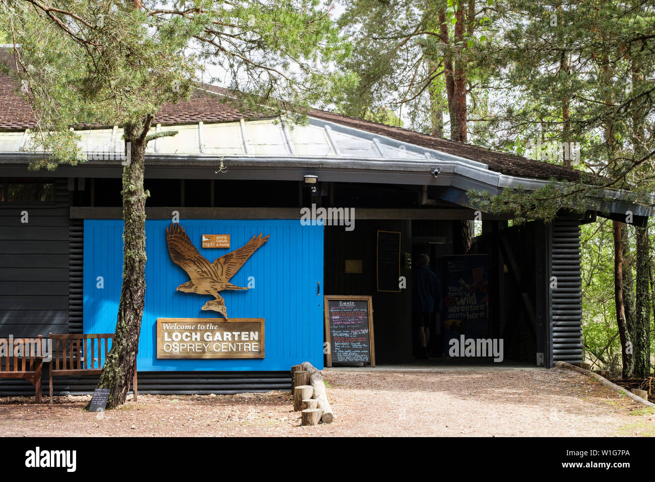 forest national nature reserve hires stock photography and