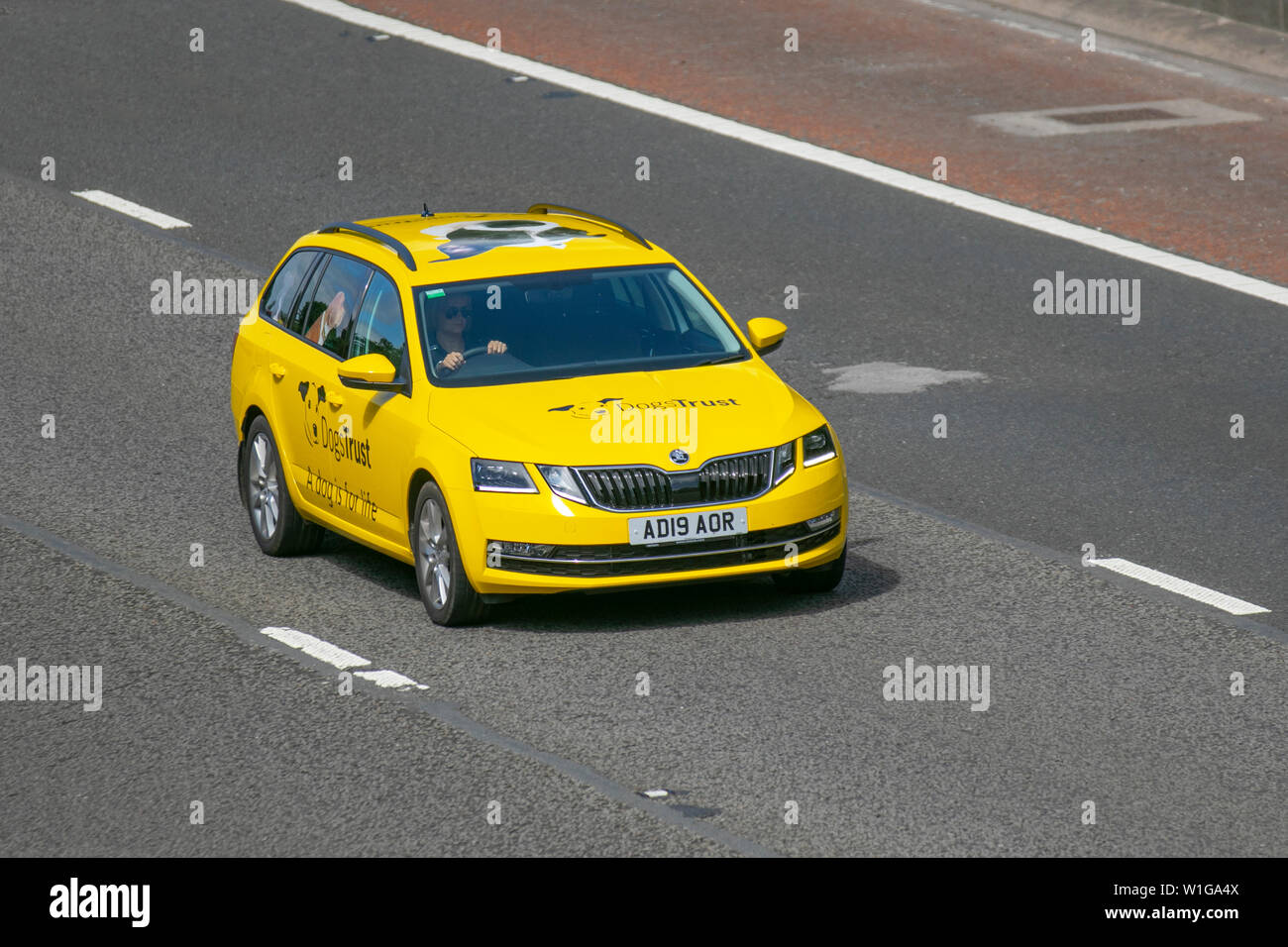 2019 yellow Škoda Octavia SE L TDI 4X4 S-A; M6, Lancaster, UK; Vehicular traffic, transport, modern, saloon cars, north-bound on the 3 lane highway. Stock Photo