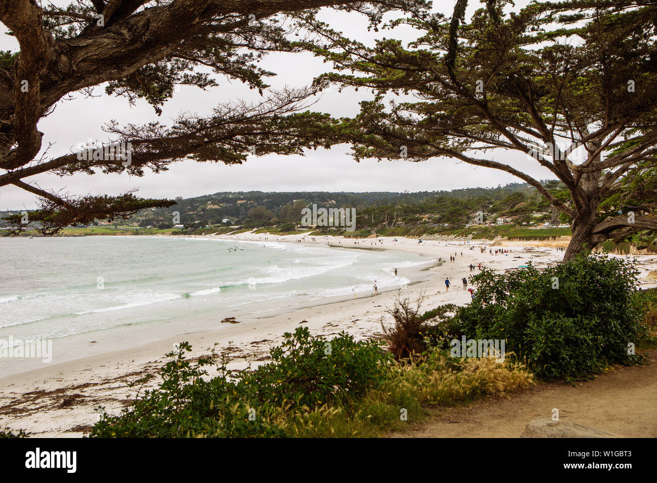 Asilomar State beach in Carmel by the Sea, Monterrey, California, USA