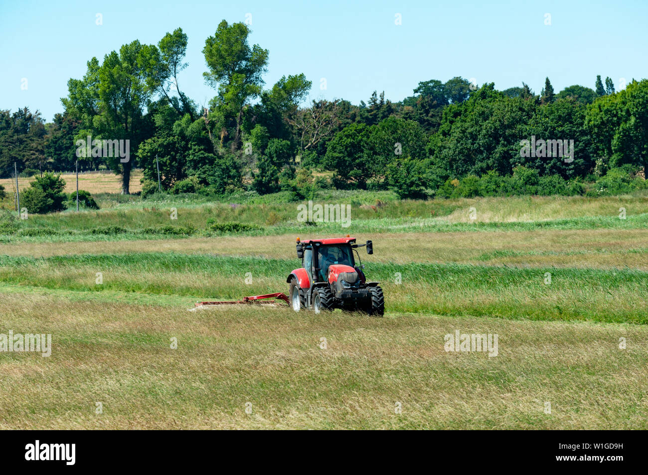Cutting grass for hay, Shingle Street, Suffolk, UK Stock Photo Alamy