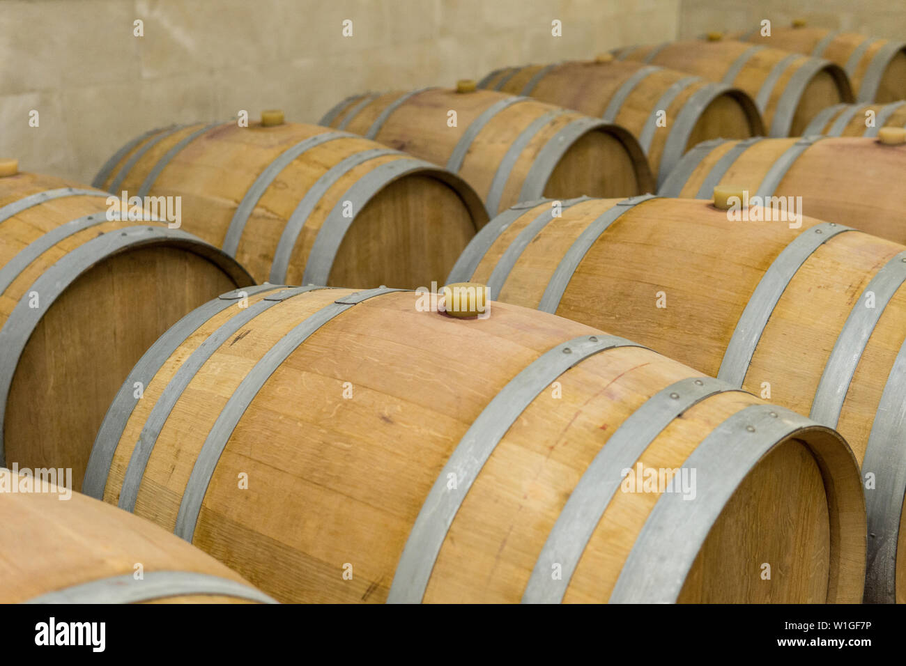 Wine barrels stacked in the cellar of the winery. Wine barrels in wine