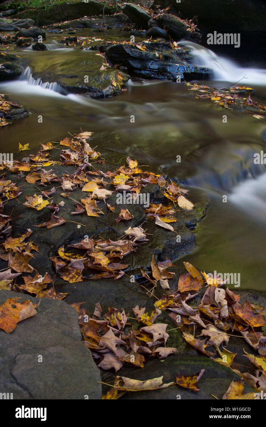 Stream with flowing water hi-res stock photography and images - Alamy