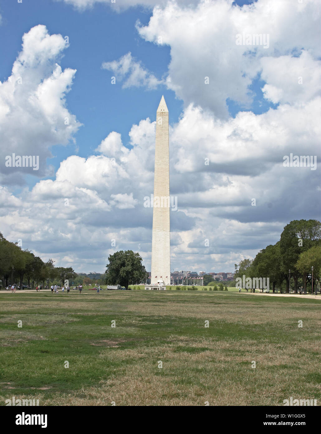 Washington Monument  in Washington DC Stock Photo