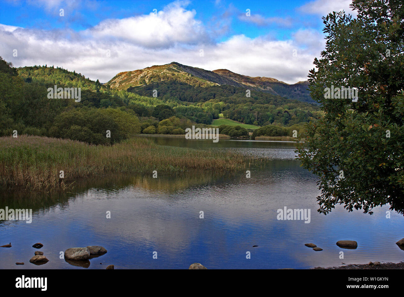 Lake District, Elter Water Stock Photo
