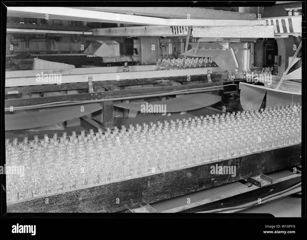Millville, New Jersey Glass bottles. [Numerous bottles in foreground