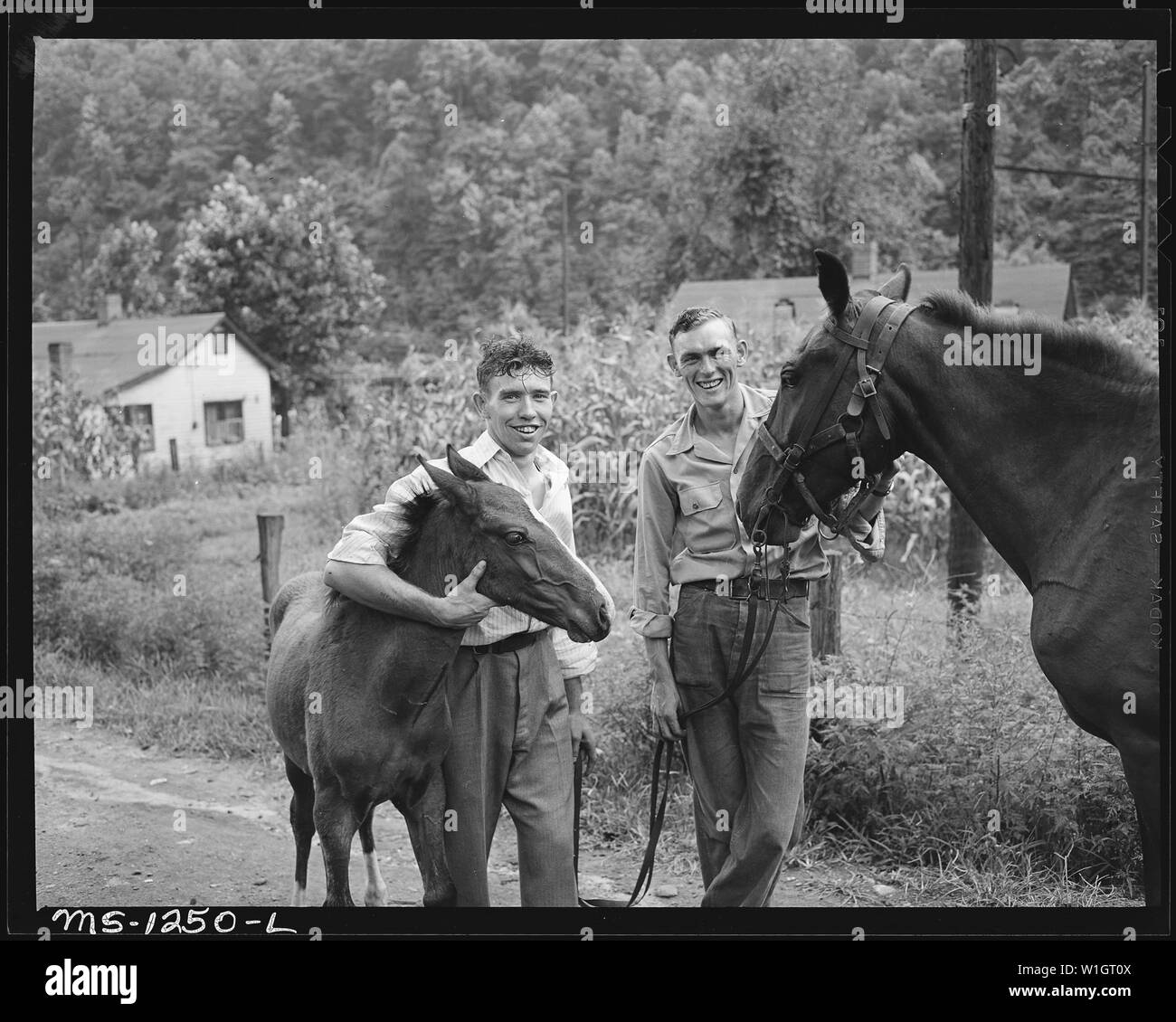 Miners, recently discharged from armed services. Many miners in the area come from farm families and are saving money to go back to their farms but will stay in the mines as long as there is good money. Kingston Pocahontas Coal Company, Exeter Mine, Big Sandy Housing Camp, Welch, McDowell County, West Virginia. Stock Photo