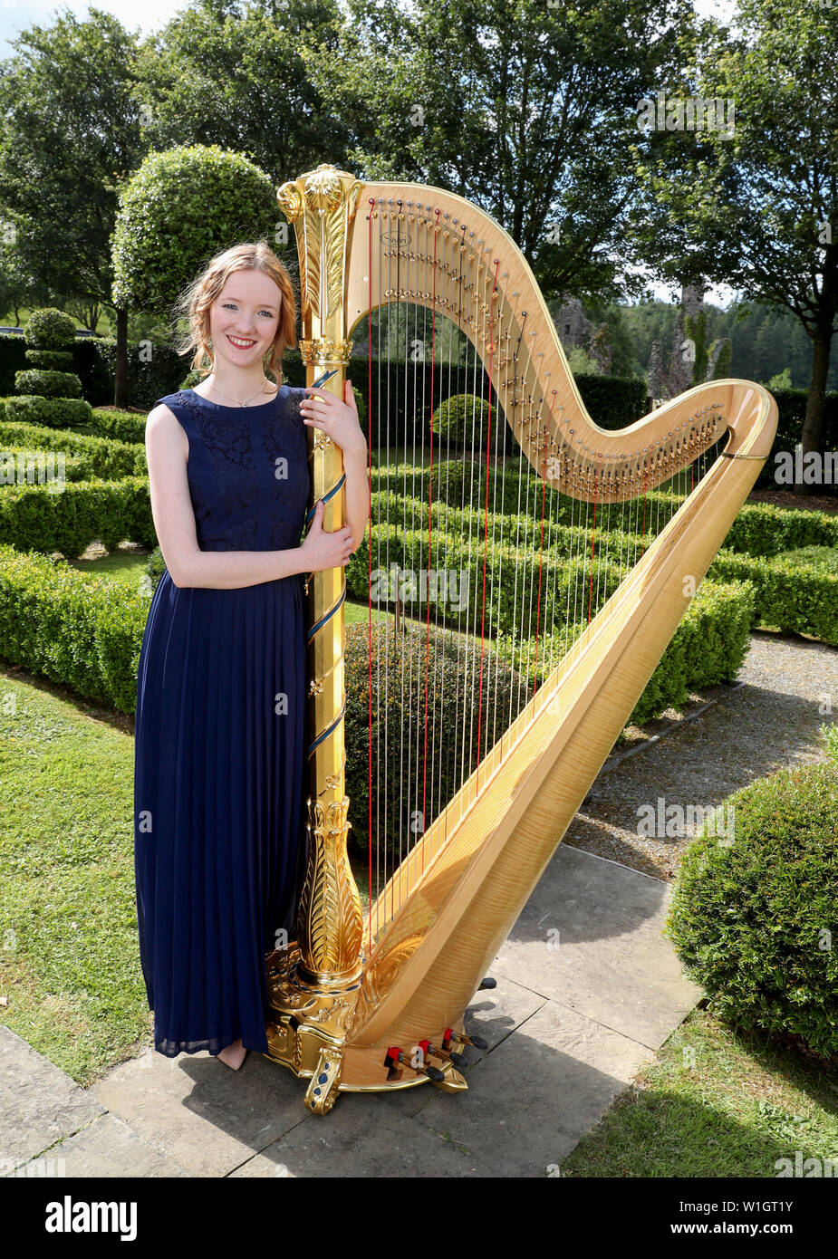 Royal harp online