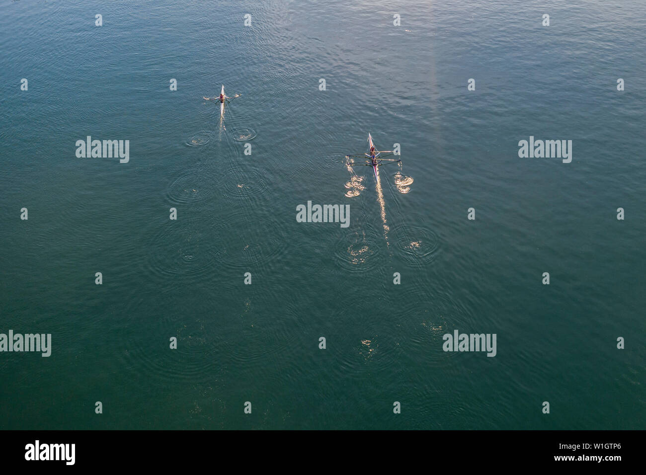 Detroit, Michigan - Early morning scullers on the Detroit River. Stock Photo