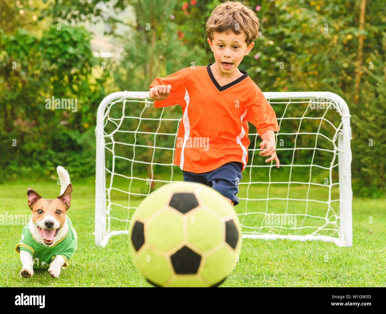 Kid in orange kit and dog chasing football (soccer) ball competing with each other Stock Photo