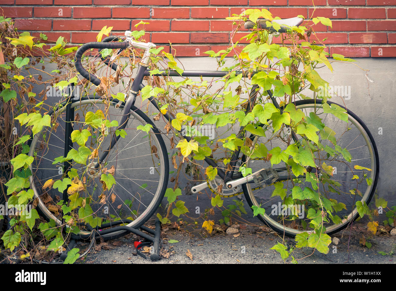 abandoned bike. the problem of green transport. the problem of a healthy lifestyle. obesity problem. the problem of lack of sports Stock Photo