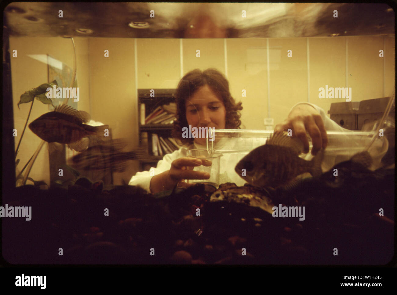 NATIONAL WATER QUALITY LABORATORY Stock Photo Alamy