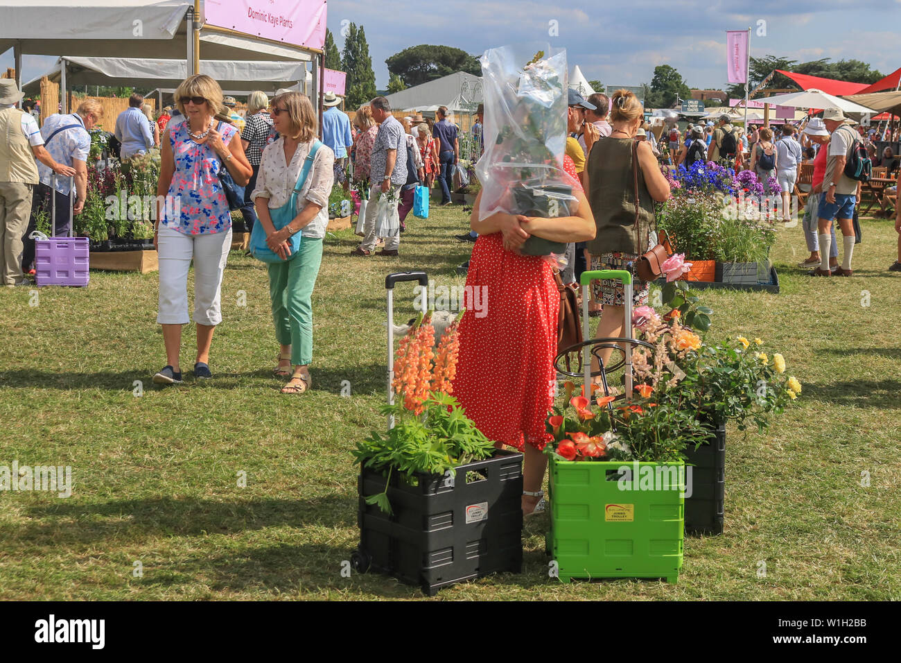 Exhibitor plants bought at the festival.The Royal Horticultural Society