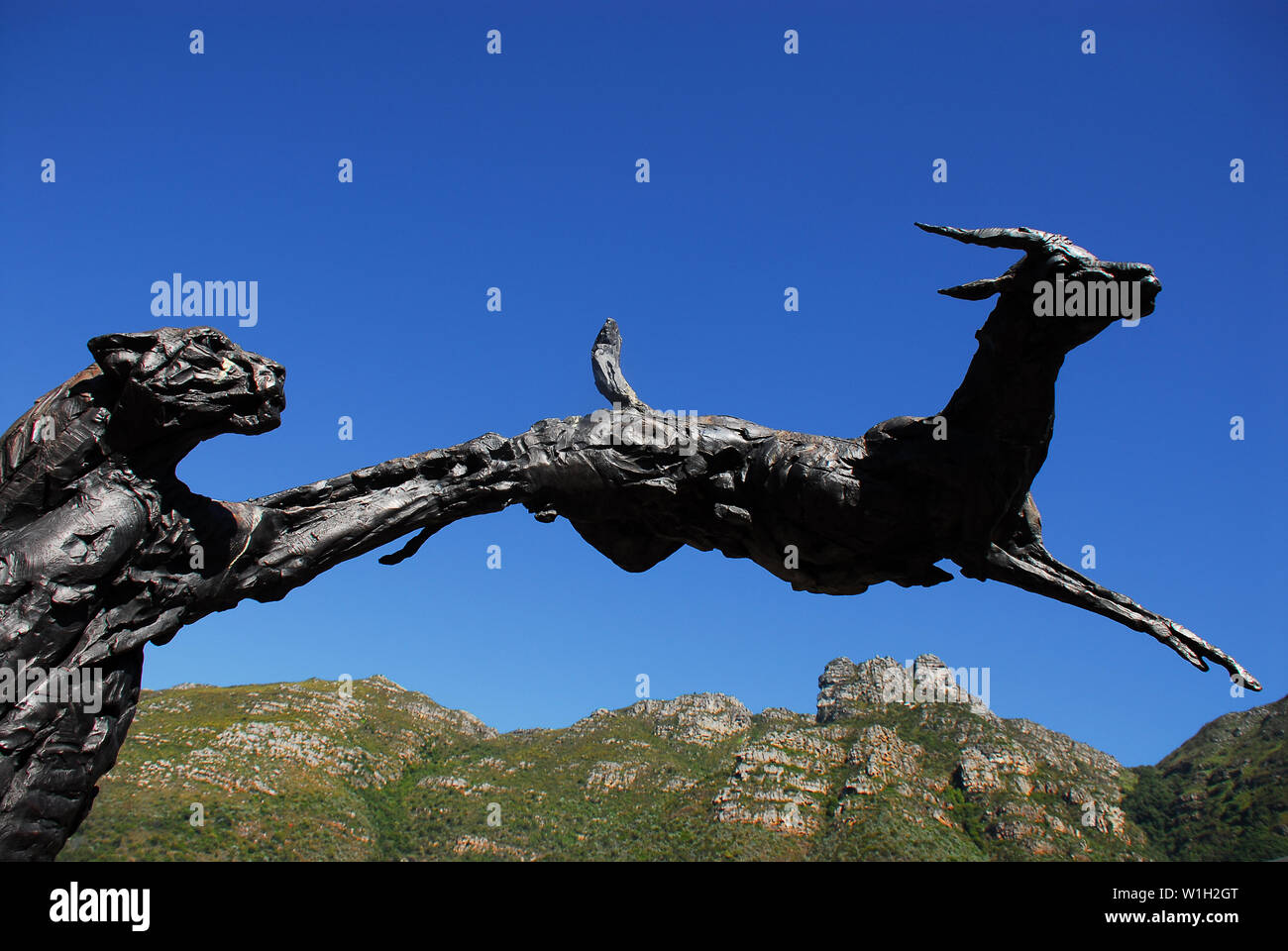 Beautiful Kirstenbosch Botanical Gardens in Cape Town, South Africa