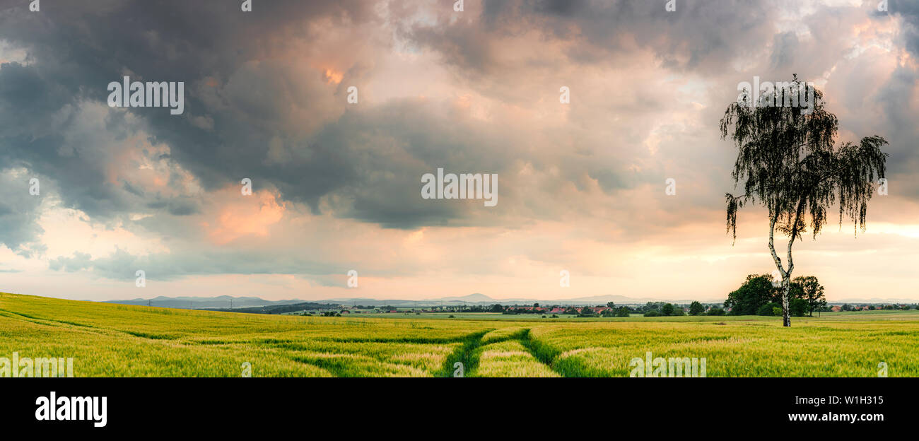 Mysterious farm landscape hi-res stock photography and images - Alamy