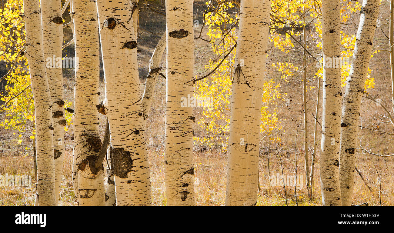 Uinta basin hires stock photography and images Alamy