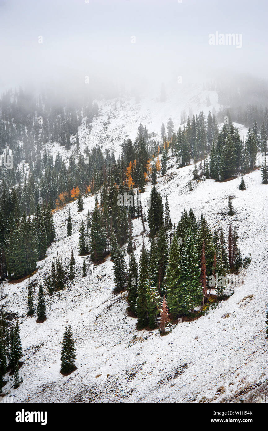 Snow blankets the southern flank of Guardsman Pass high above Park City, Utah in an early season snowfall. (c) 2012 Tom Kelly Stock Photo