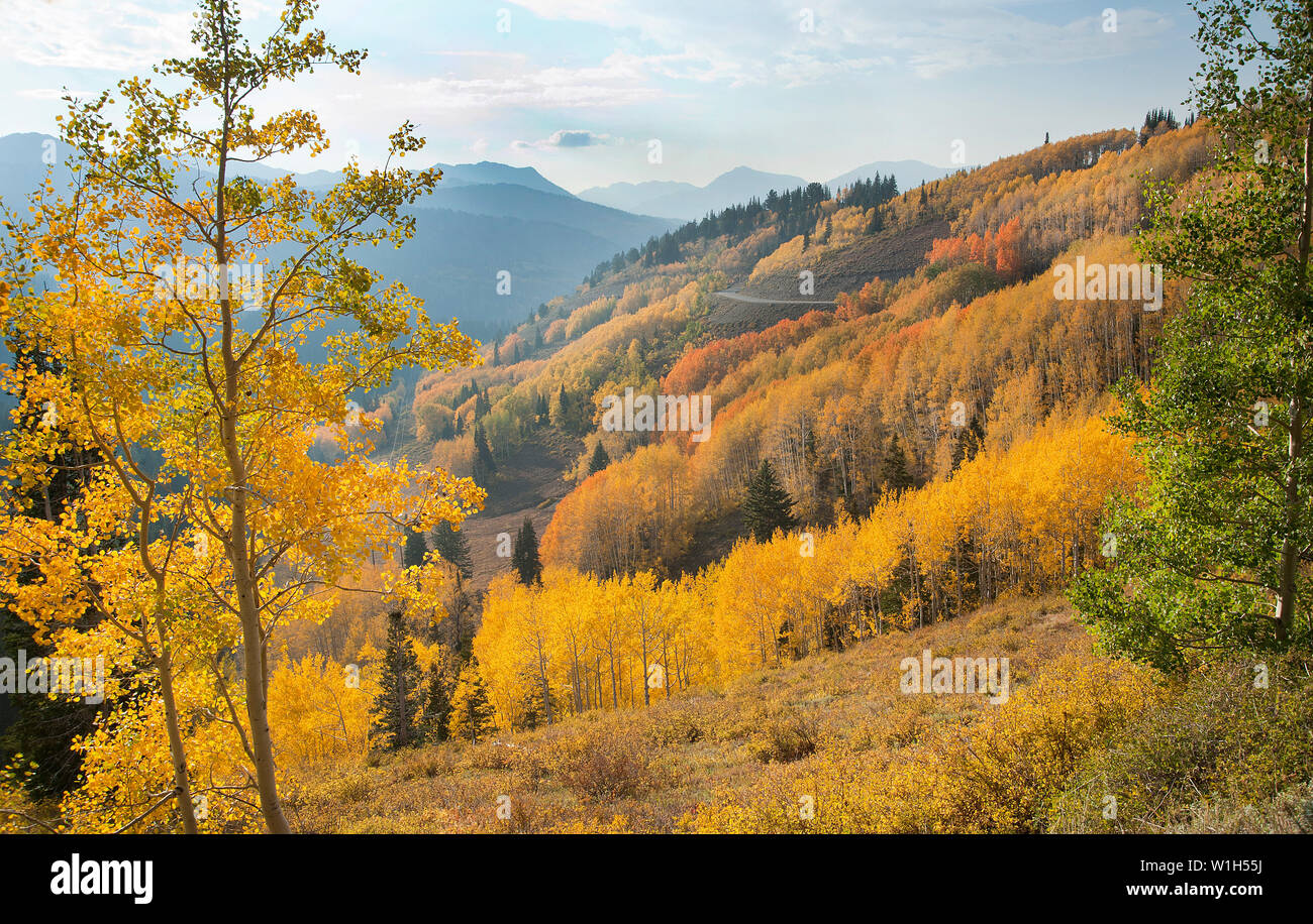 The rustic colors of late fall blanket Big Cottonwood Canyon near Guardsman Pass high above Park City, Utah in the Wasatch Mountains. (c) 2012 Tom Kel Stock Photo