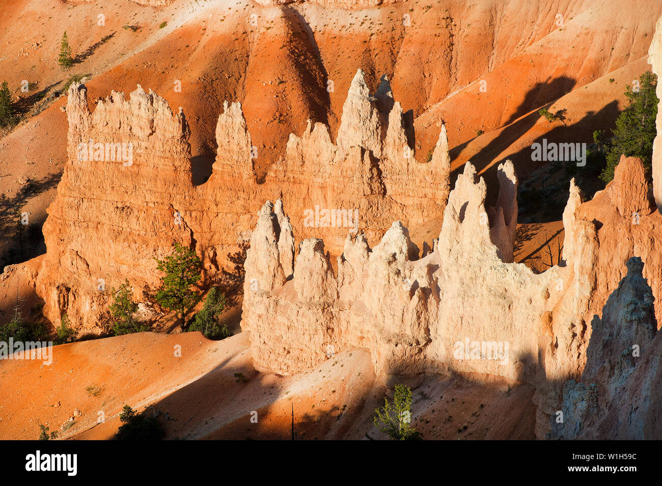 Redrock spires jut out of a moonscape like ampitheater as the first rays of daylight hit Bryce Canyon National Park. (c) 2012 Tom Kelly Stock Photo