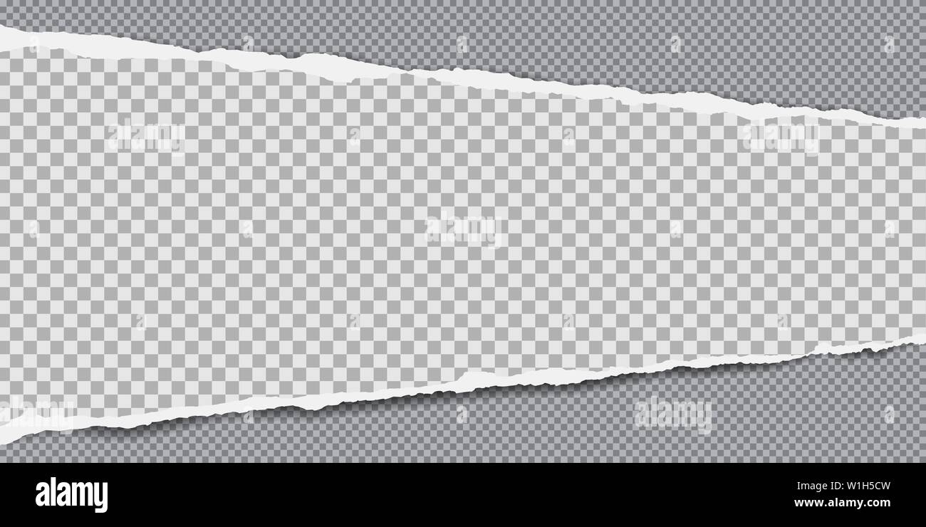 Piece of white squared torn paper strip with soft shadow is on grey ...