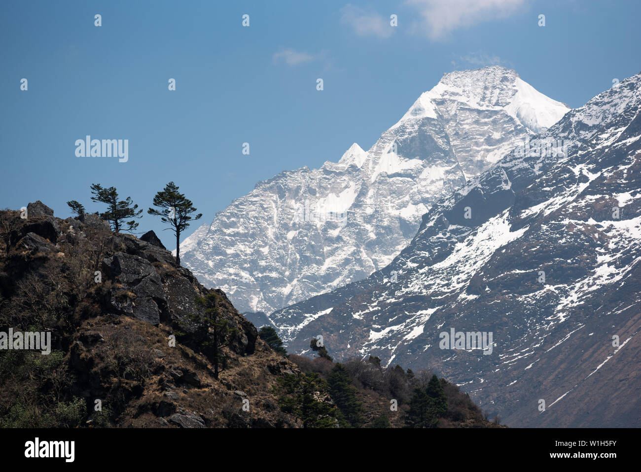 Lone pine tree on mountain edge in Nepal Himalayas with great ice covered peak in the distance