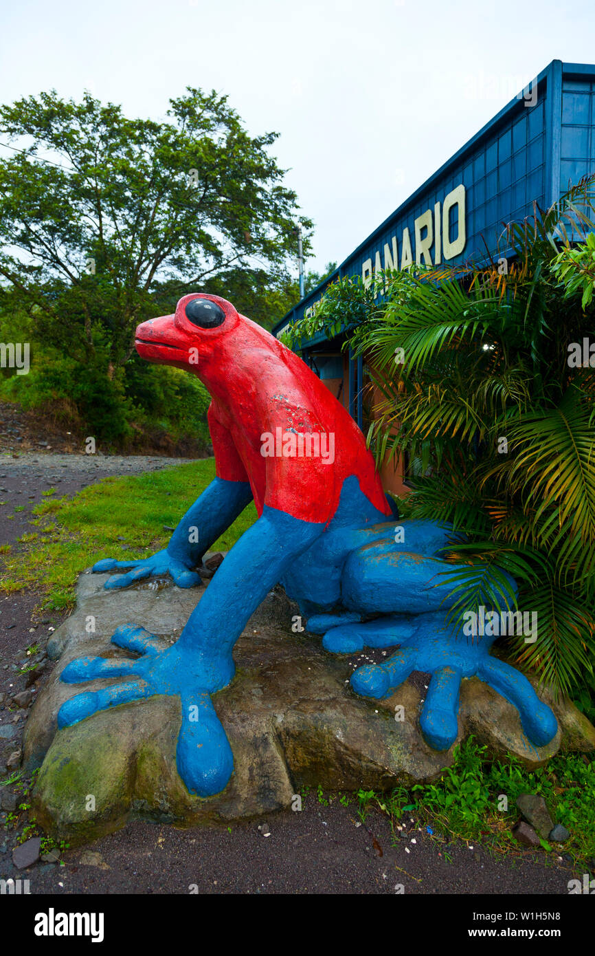 Radney Ranario Ranario hi-res stock photography and images - Alamy
