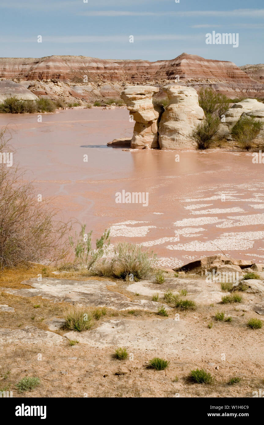 A rare desert lake, murky as it may be, south of Green River, Utah Stock Photo Alamy