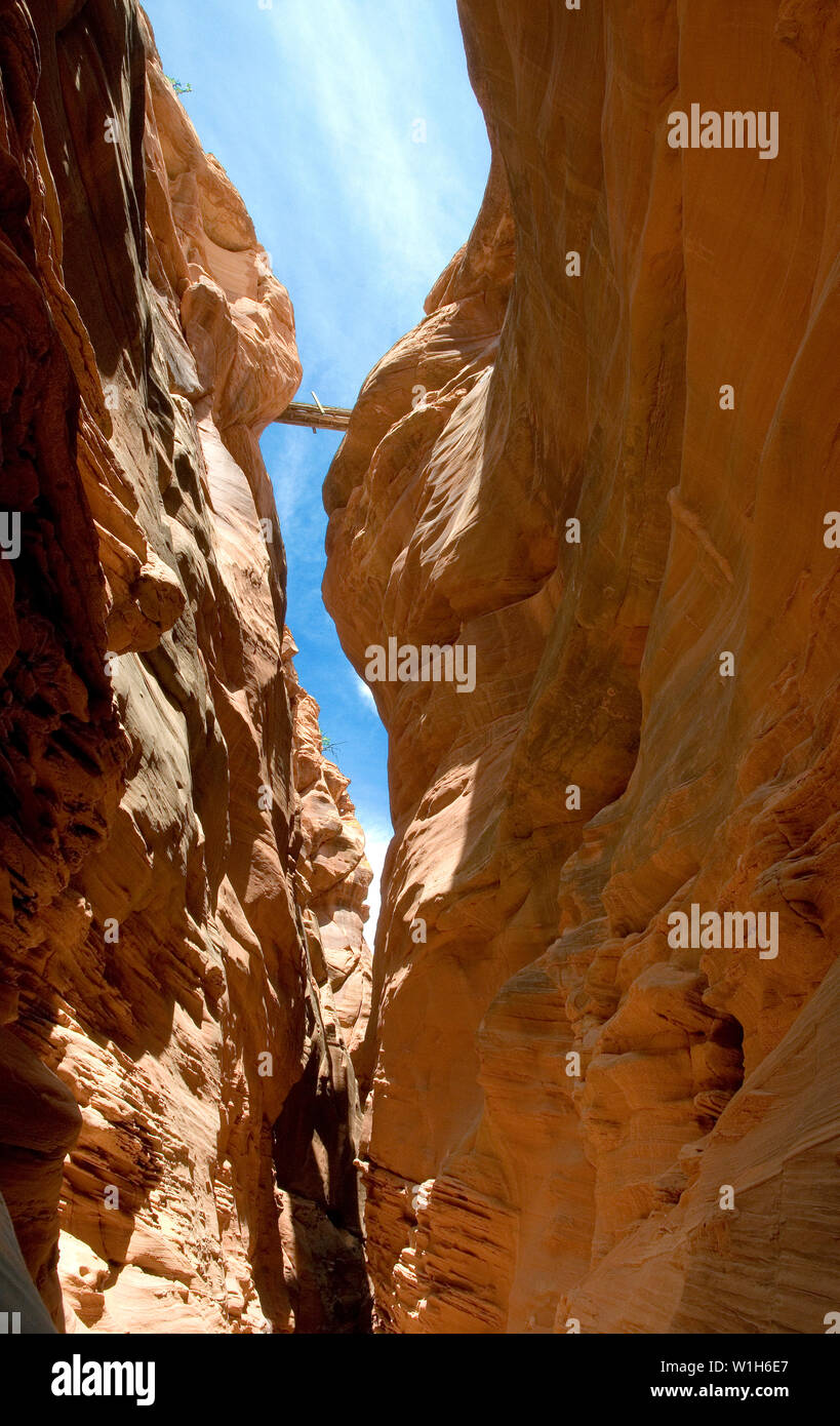 An old sheep bridge crosses over a hundred feet above the canyon floor in Moonshine Wash south of Green River, Utah in Robber's Roost country. Stock Photo
