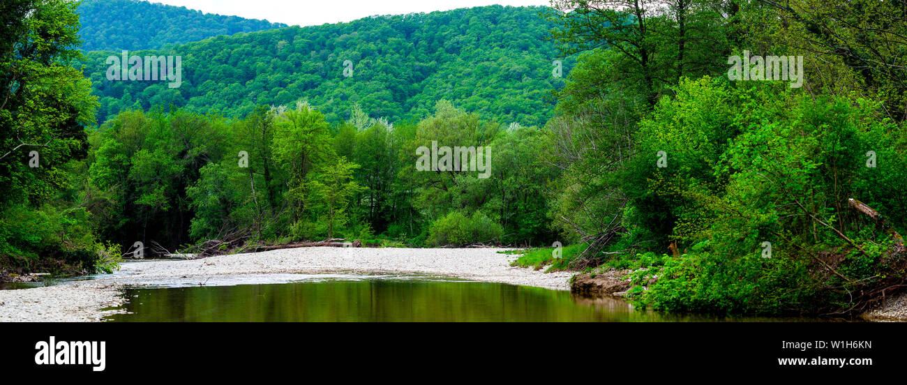 Mountain river flowing through the green forest. Stock Photo