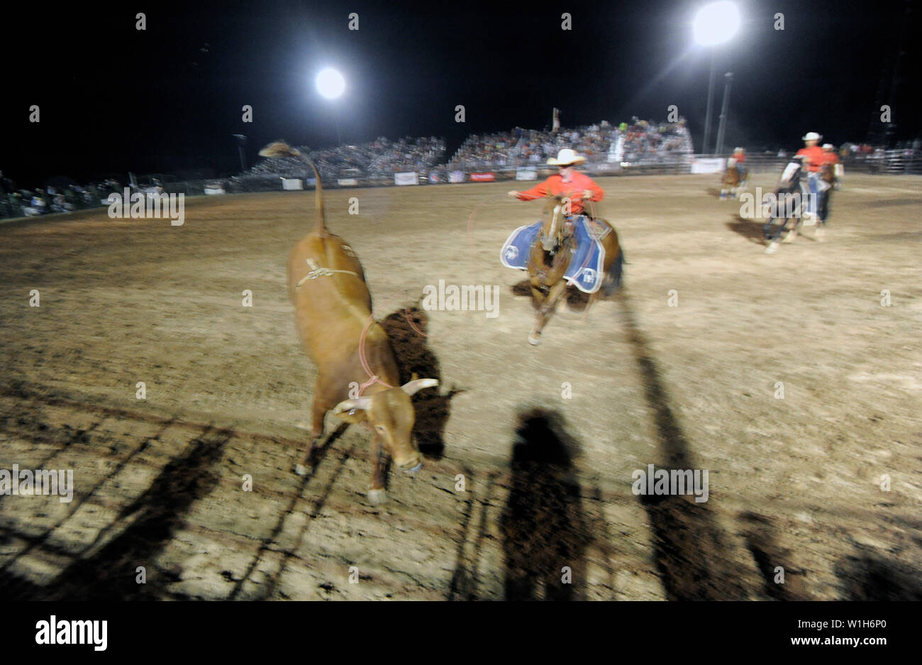 Loose bull in the arena at Pioneer Days Rodeo in Lander, Wyoming. Backroads Americana -  Lander Rodeo (c) 2018 Tom Kelly Stock Photo