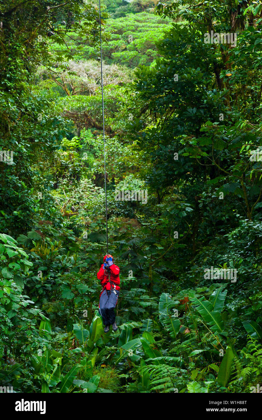 Canopy Trail Tarzan Swing Santa Elena Cloud Forest Nature