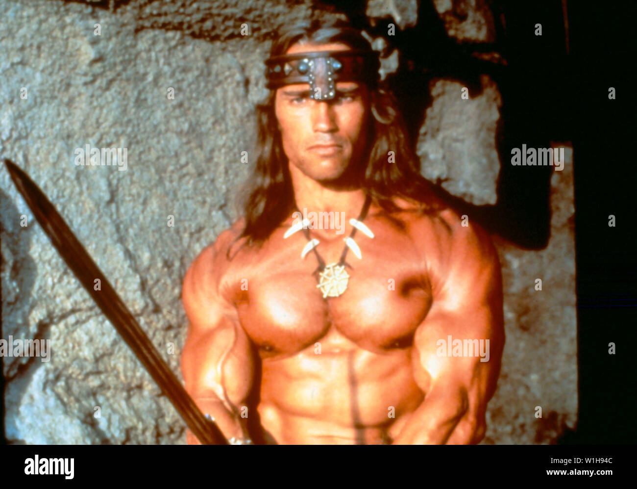 Ронал варвар королева амазонок. Кучера варвар его девочка. Кучера варвар его девочка. Ронал-варвар (2011). Барбарианы.