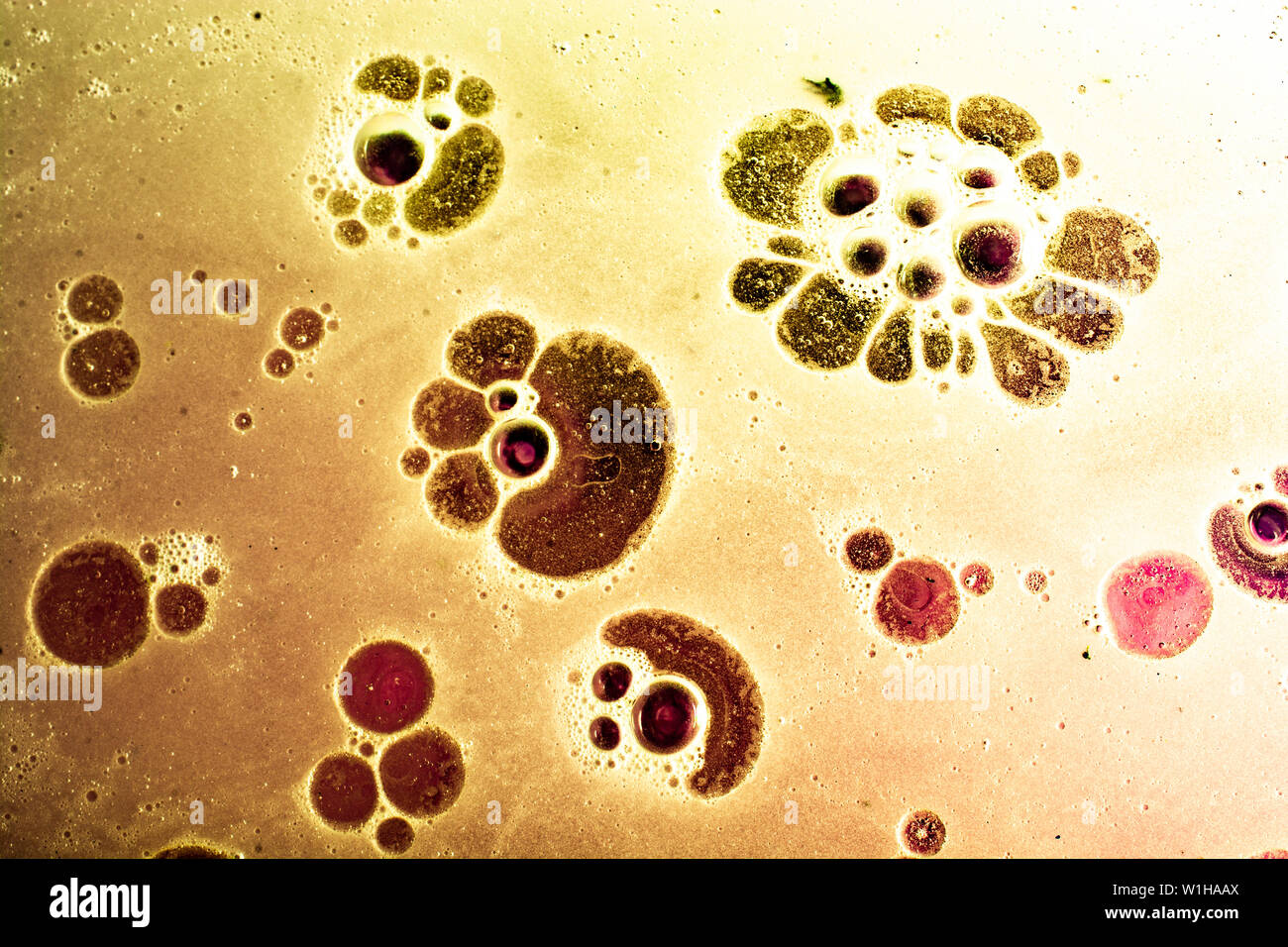 Oil bubbles inside water base form patterns Stock Photo - Alamy