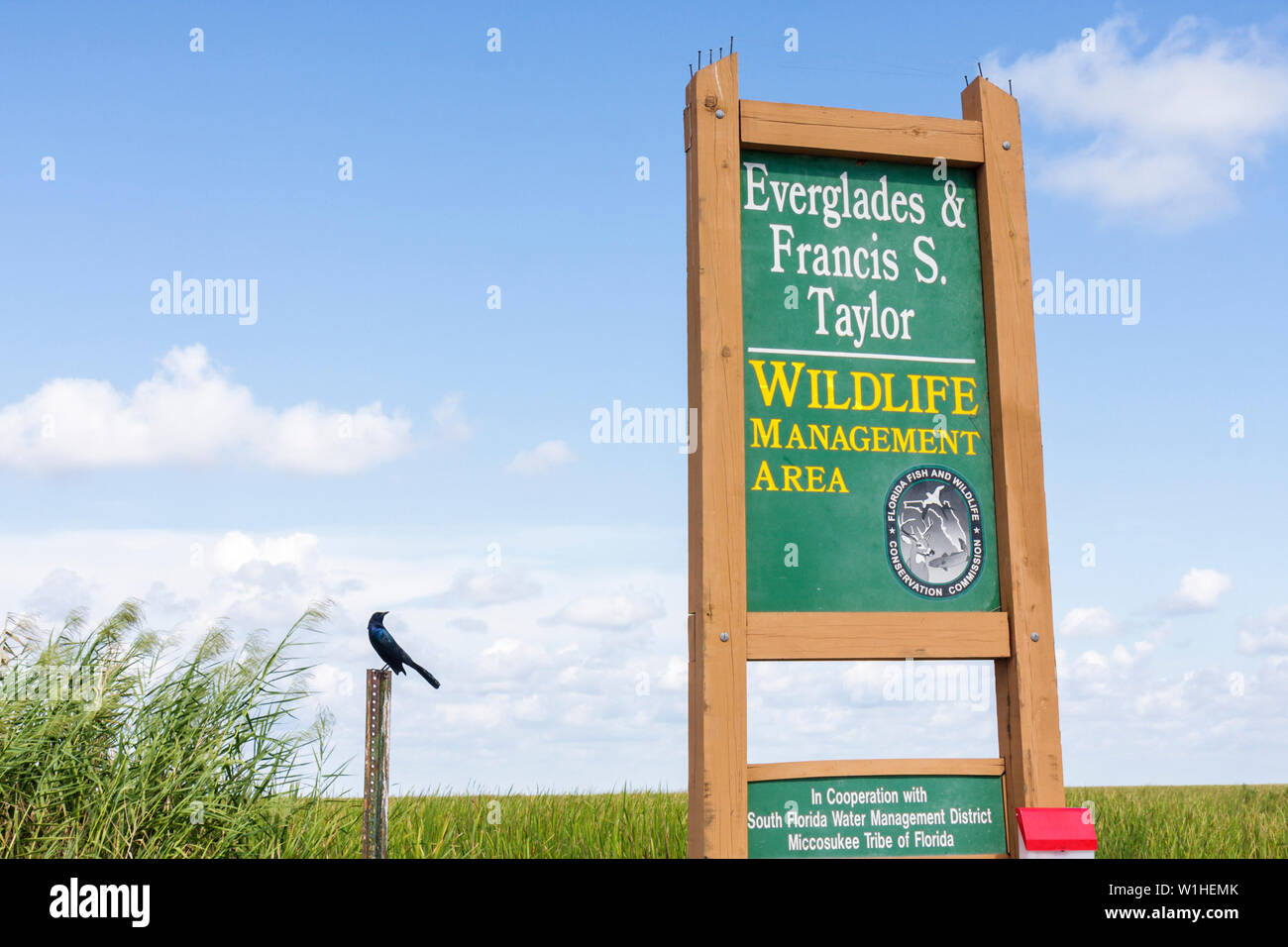 Miami Florida,I 75,Interstate 75,Alligator Alley,The Everglades,Francis S. Taylor Wildlife Management Area,sign,ecosystem,freshwater marsh,bird,grass, Stock Photo