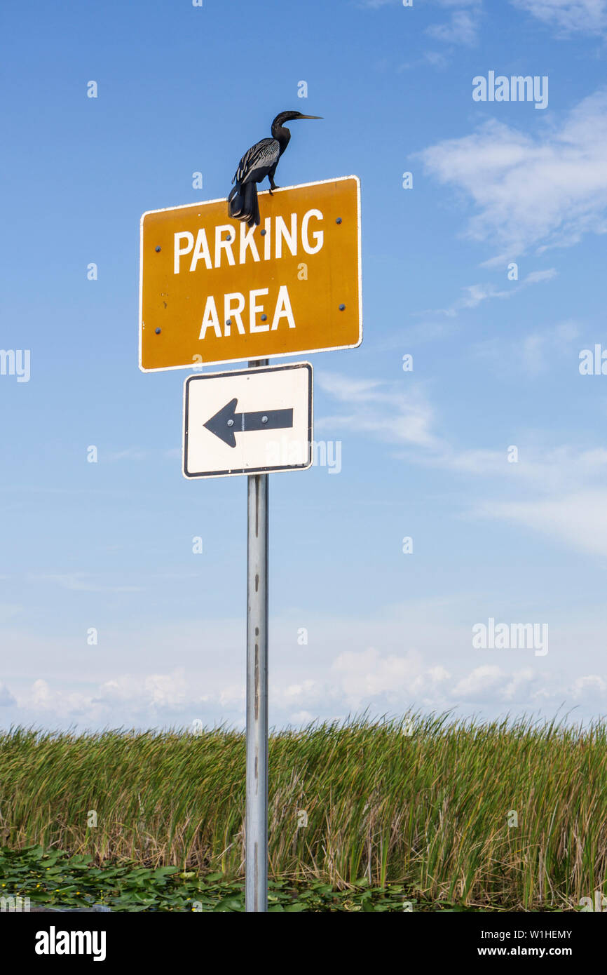 Miami Florida,I 75,Interstate 75,Alligator Alley,The Everglades,rest stop,parking area,sign,arrow,saw grass marshes,wildlife,ecosystem,water bird,Anhi Stock Photo