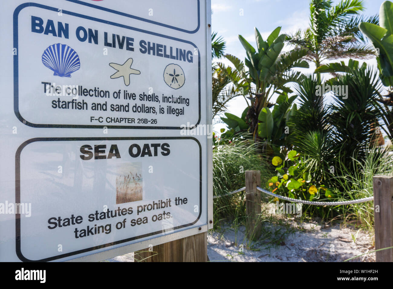 Florida Collier County,Fort Ft. Myers Beach,Gulf of Mexico Coast,public beach,park rules,sign,graphics,regulations,protected specie,vegetation,ecosyst Stock Photo
