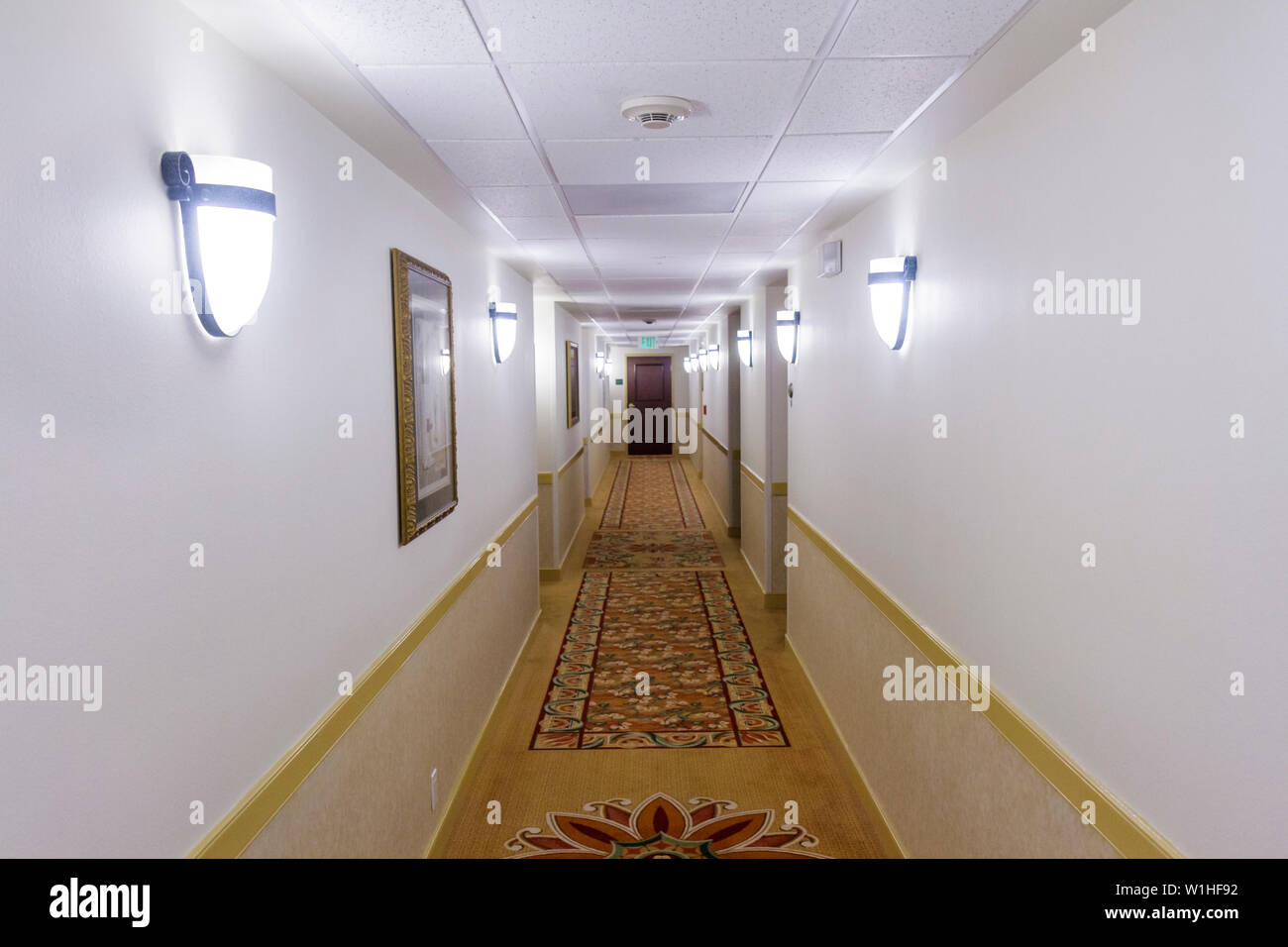 Naples Florida,Doubletree Guest Suites,motel,hotel hotels lodging inn motel motels,hallway,wall sconce,light,corridor,neutral color,visitors travel tr Stock Photo