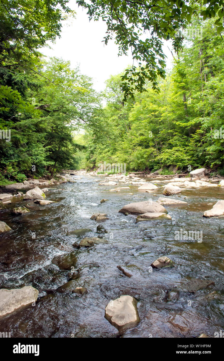 Chittenango Falls, New York, USA Stock Photo Alamy
