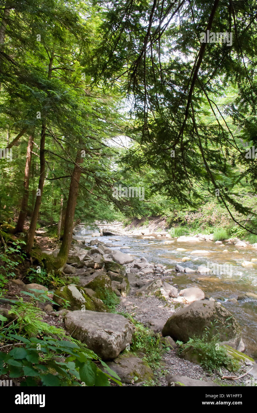 Chittenango Falls, New York, USA Stock Photo Alamy