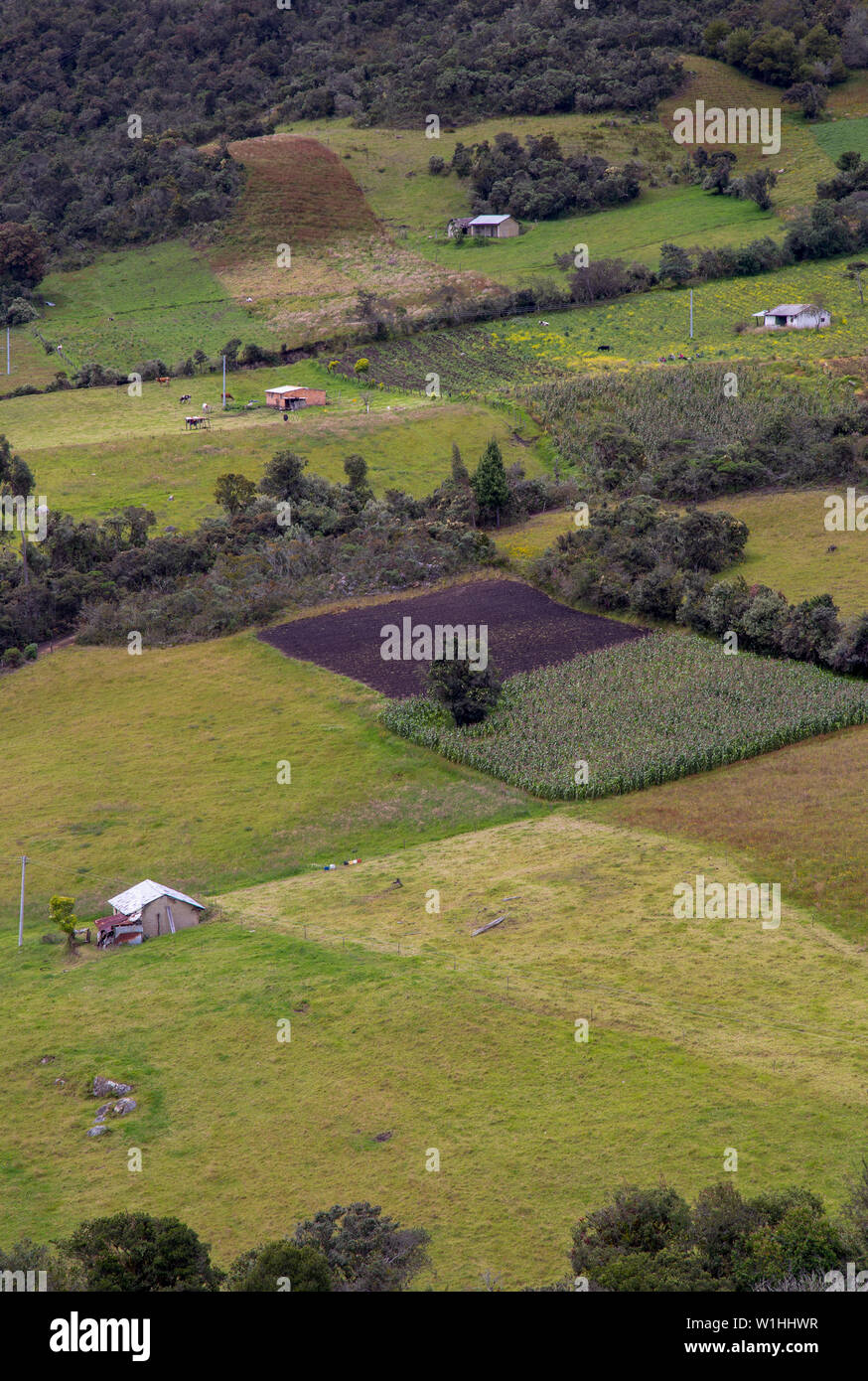 Multiple exposure of farmlands in different stages of the crops, at the