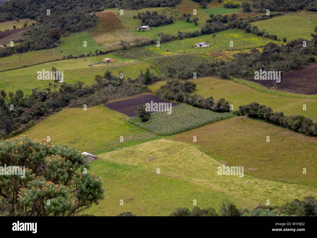 Multiple exposure of some farmlands in different stages of the crops